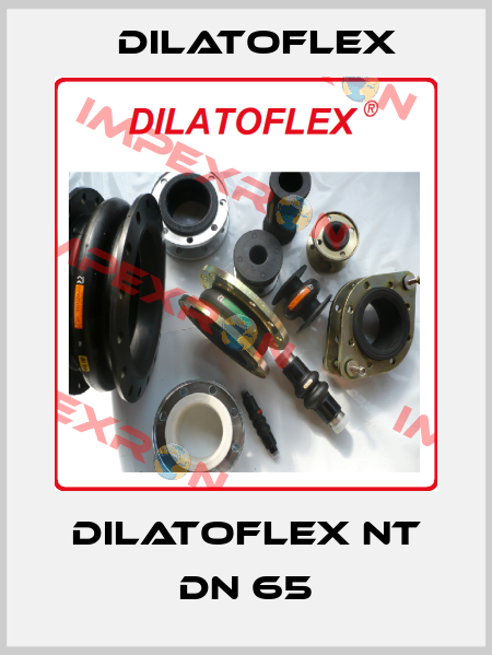 Dilatoflex NT DN 65 DILATOFLEX