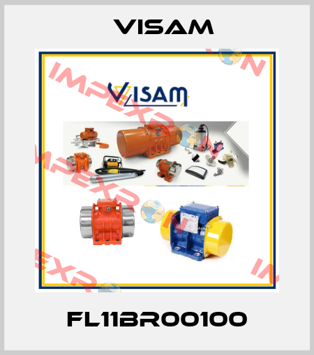FL11BR00100 Visam
