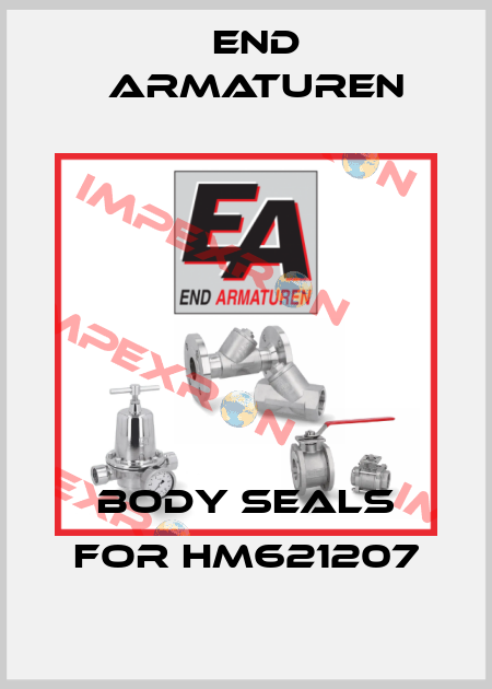 Body seals for HM621207 End Armaturen