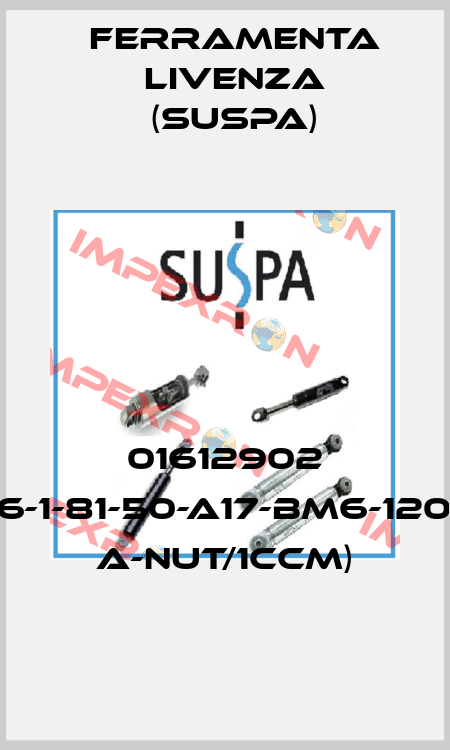 01612902 (16-1-81-50-A17-BM6-120N A-Nut/1ccm) Ferramenta Livenza (Suspa)