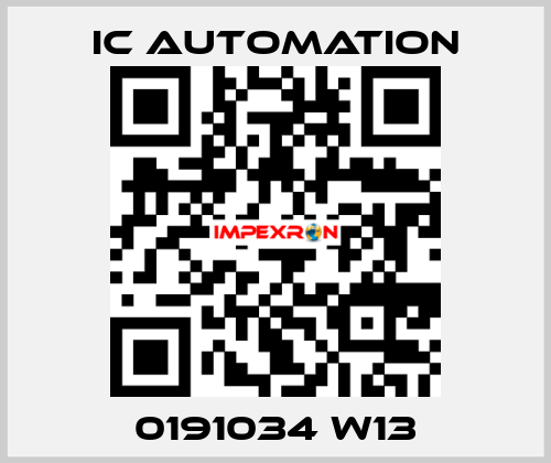 0191034 W13 ic automation
