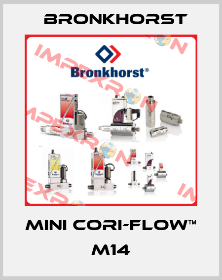MINI CORI-FLOW™ M14 Bronkhorst