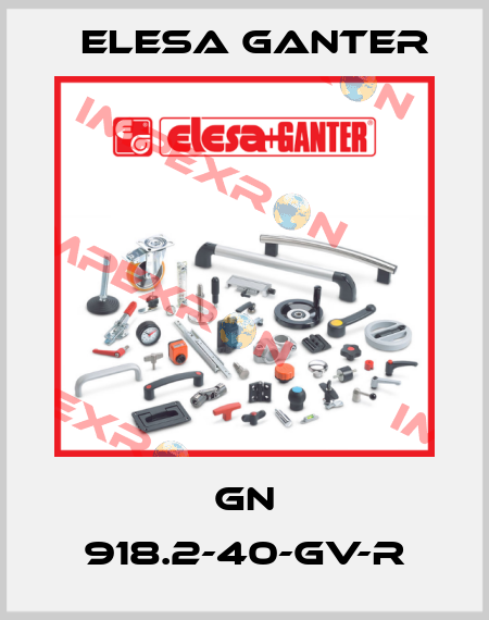 GN 918.2-40-GV-R Elesa Ganter