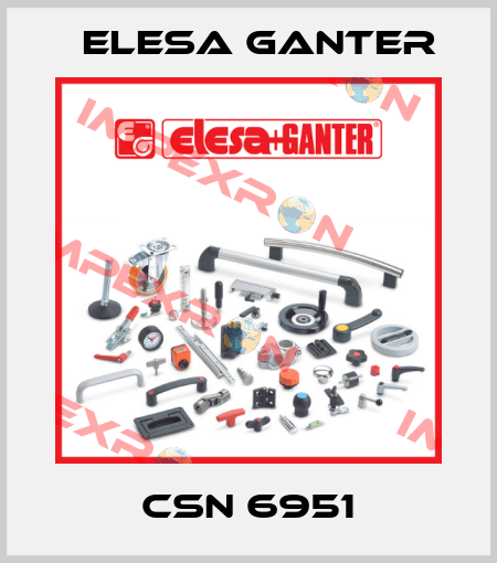 CSN 6951 Elesa Ganter