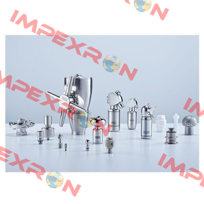405.204 G1 ¼’’ BSPP 316L old code/new code 405.204.1Y.AP Lechler