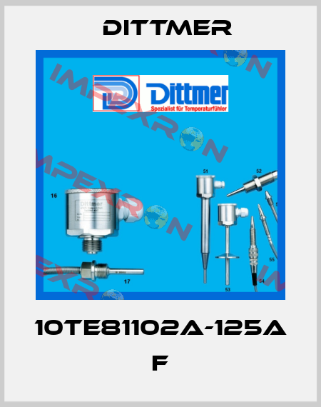 10TE81102A-125A F Dittmer