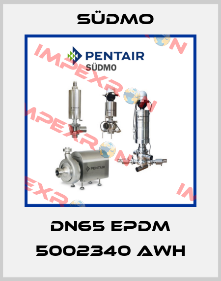 DN65 EPDM 5002340 AWH Südmo