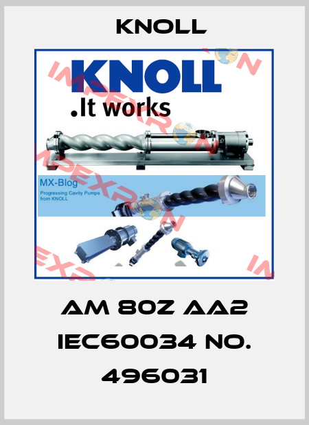 AM 80Z AA2 IEC60034 NO. 496031 KNOLL