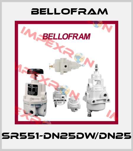 SR551-DN25DW/DN25 Bellofram