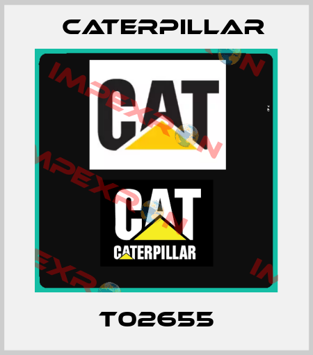 T02655 Caterpillar