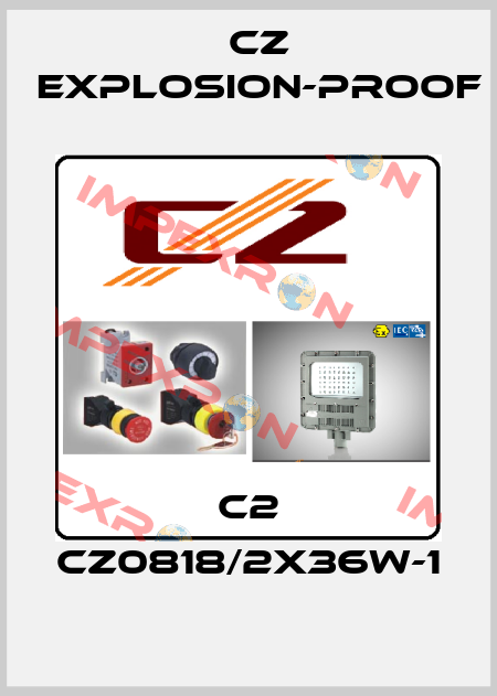 C2 CZ0818/2X36W-1 CZ Explosion-proof