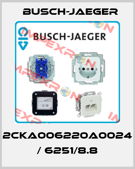 2CKA006220A0024 / 6251/8.8 Busch-Jaeger