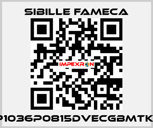 VDP1036P0815DVECGBMTKRI1T Sibille Fameca