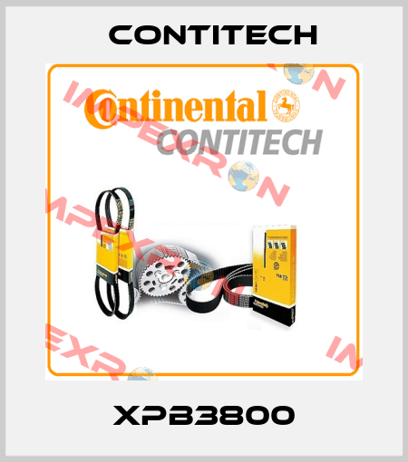 XPB3800 Contitech