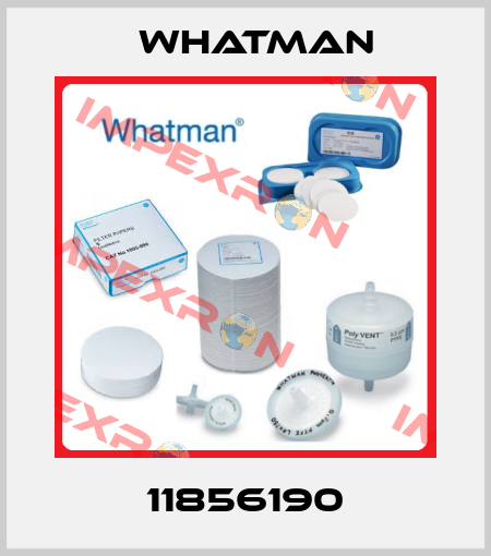 11856190 Whatman