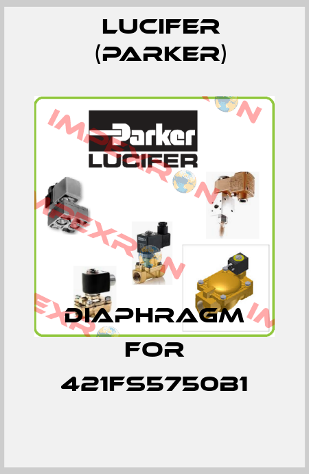 Diaphragm for 421FS5750B1 Lucifer (Parker)