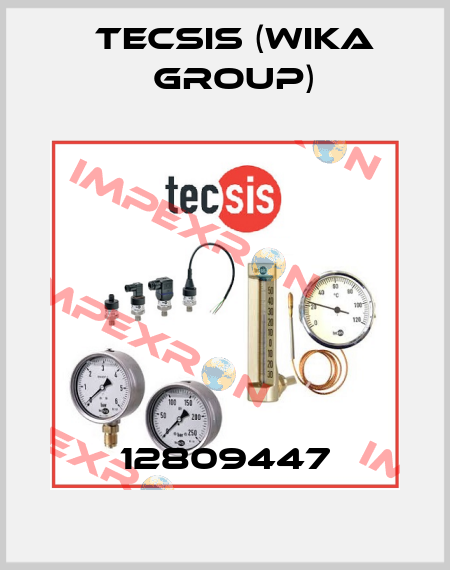 12809447 Tecsis (WIKA Group)