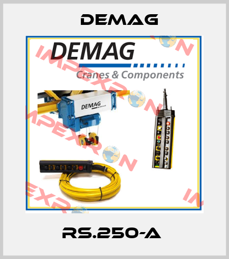 RS.250-A  Demag