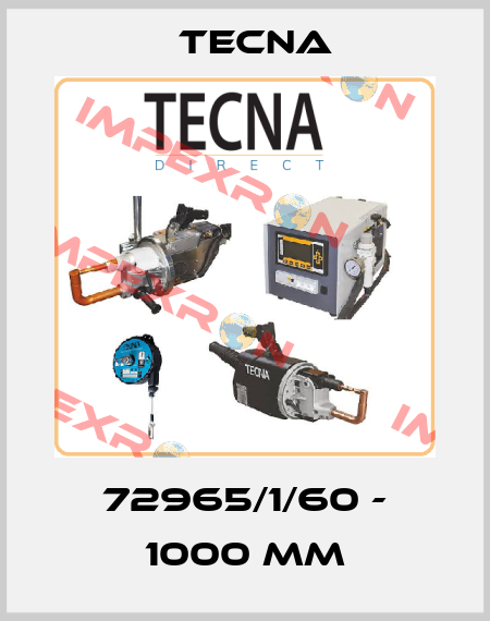 72965/1/60 - 1000 MM Tecna