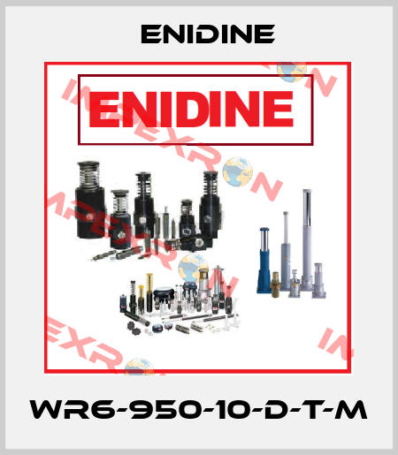 WR6-950-10-D-T-M Enidine