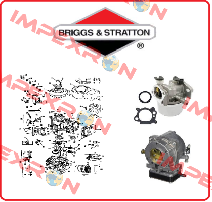 Standard Segments For 126492-0235-E1 Briggs-Stratton