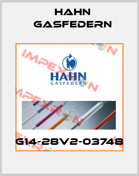 G14-28V2-03748 Hahn Gasfedern
