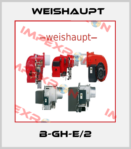 B-GH-E/2 Weishaupt