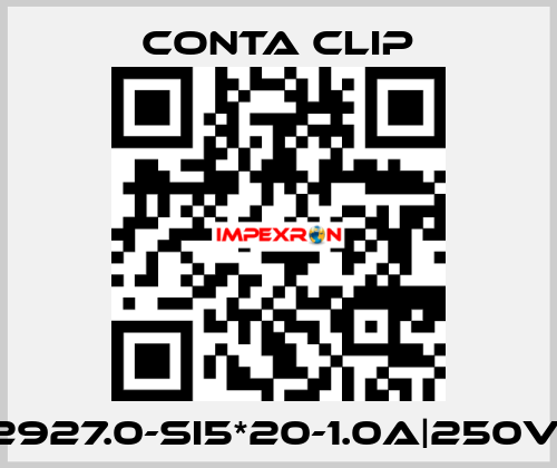 2927.0-SI5*20-1.0A|250V| Conta Clip