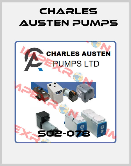 S02-078  Charles Austen Pumps