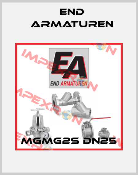 MGMG2S DN25 End Armaturen
