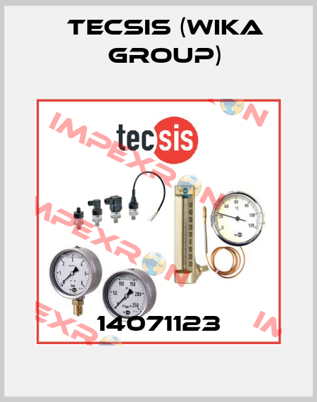 14071123 Tecsis (WIKA Group)