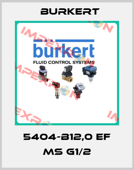 5404-B12,0 EF MS G1/2 Burkert