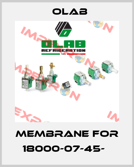 membrane for 18000-07-45-В Olab