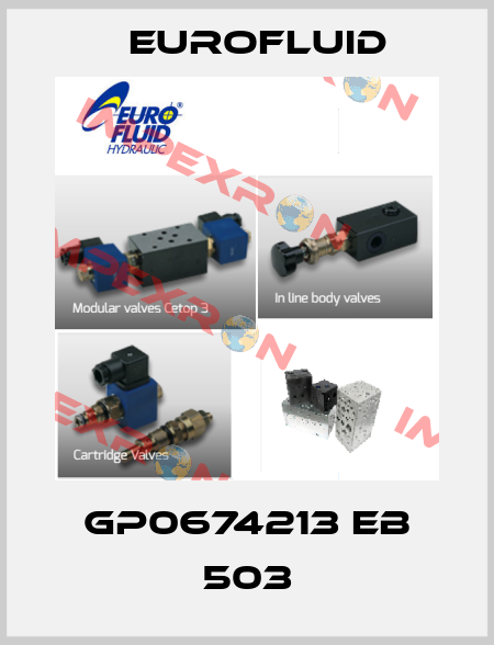 GP0674213 EB 503 Eurofluid