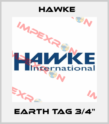 EARTH TAG 3/4" Hawke