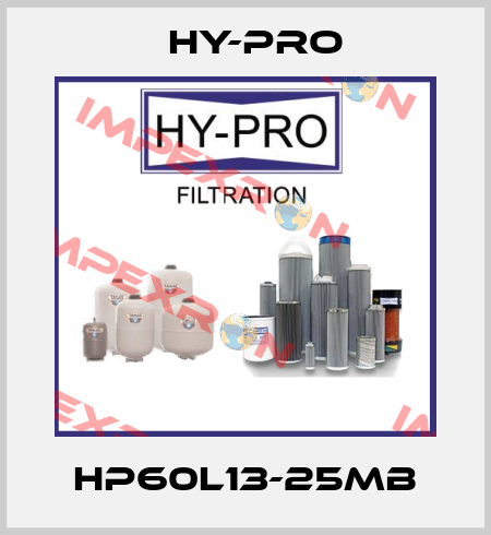 HP60L13-25MB HY-PRO