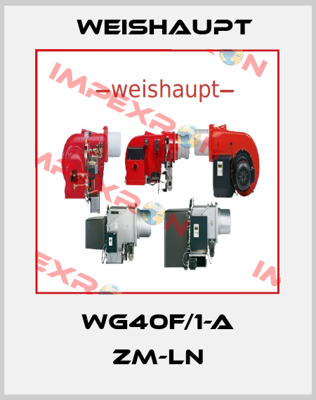 WG40F/1-A ZM-LN Weishaupt