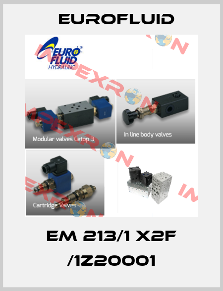 EM 213/1 X2F /1Z20001 Eurofluid