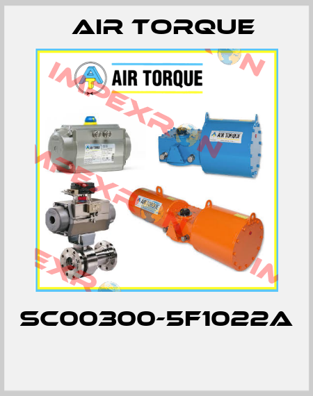 SC00300-5F1022A  Air Torque