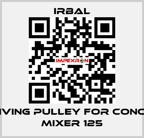 receiving pulley for Concrete mixer 125 irbal
