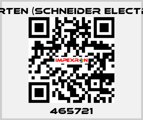465721 Merten (Schneider Electric)