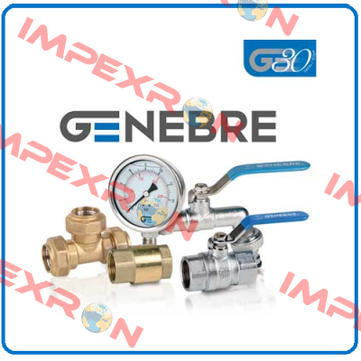 2231 / DIN 80 PN 16 3" Genebre