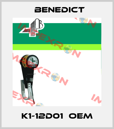 K1-12D01  OEM Benedict