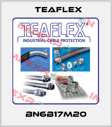 BN6B17M20 Teaflex