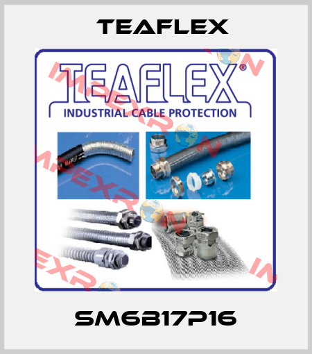 SM6B17P16 Teaflex