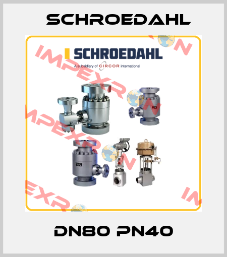 DN80 PN40 Schroedahl