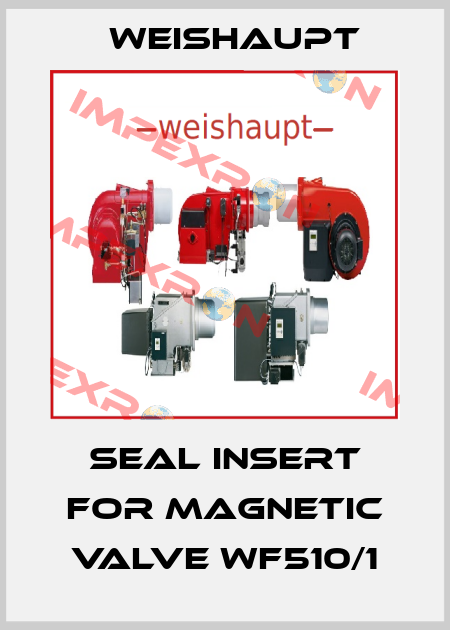 Seal Insert for magnetic valve WF510/1 Weishaupt