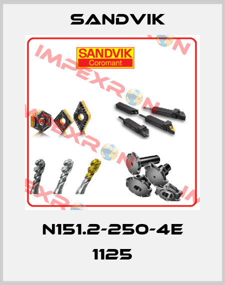 N151.2-250-4E 1125 Sandvik