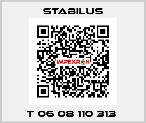 T 06 08 110 313  Stabilus