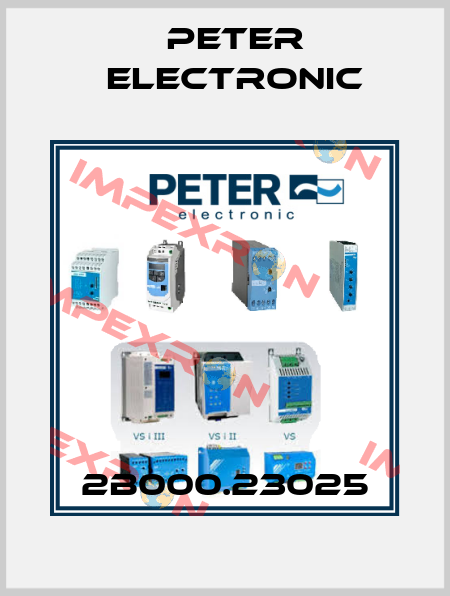 2B000.23025 Peter Electronic